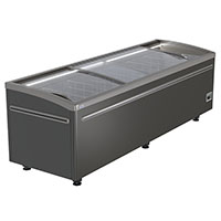 Ларь-бонета Haier GTS2500GB